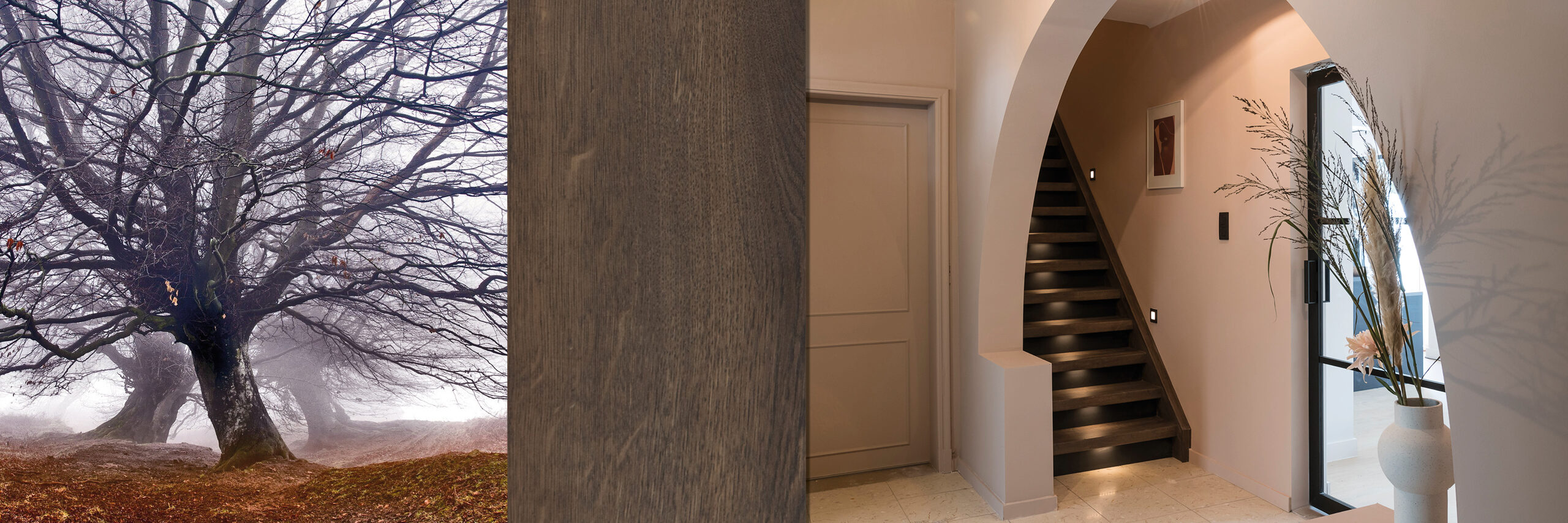 Complexe Oak