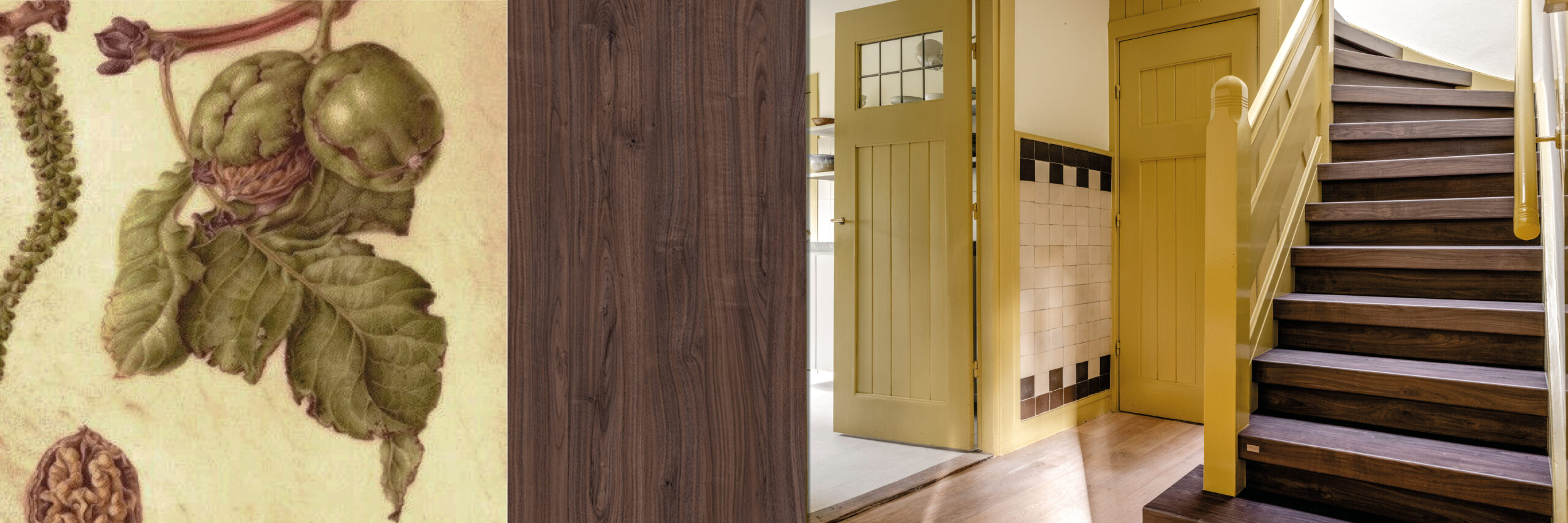 Dark Walnut