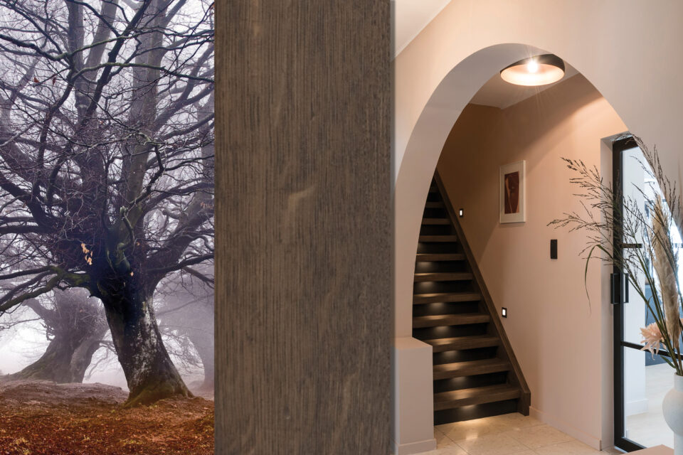 Complexe Oak