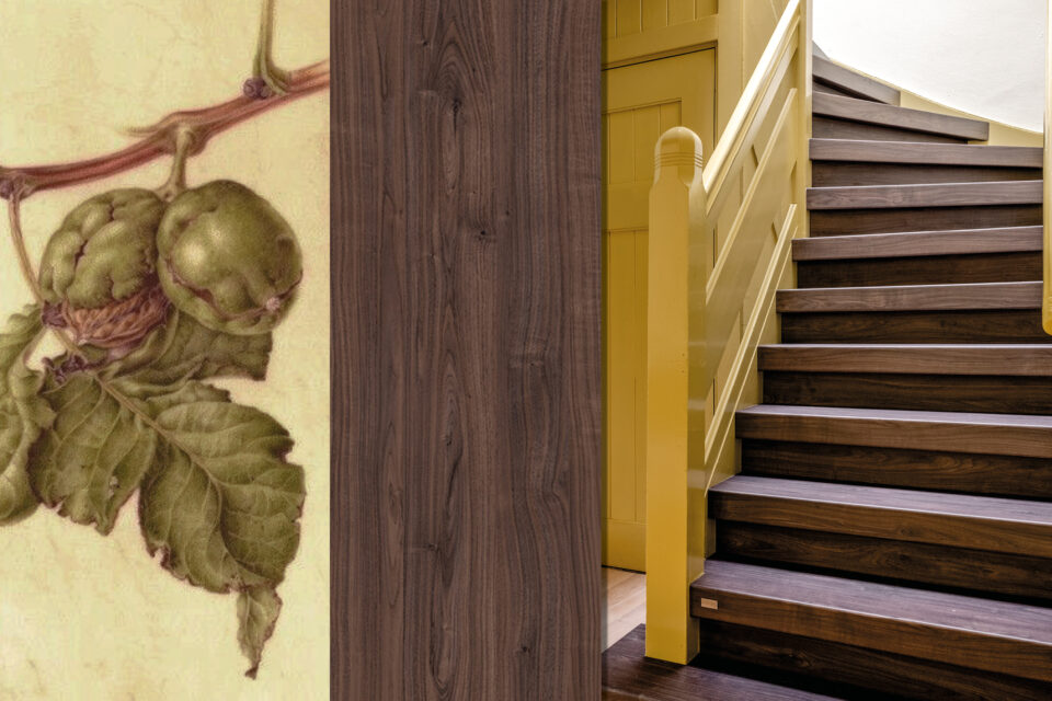 Dark Walnut