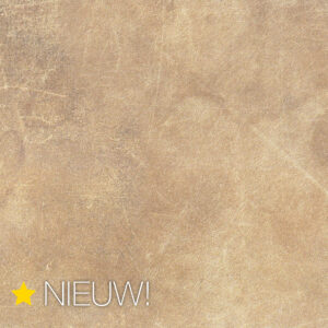 Wereldcollectie