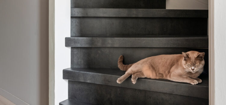 Nieuw in onze showroom: Trapverwarming