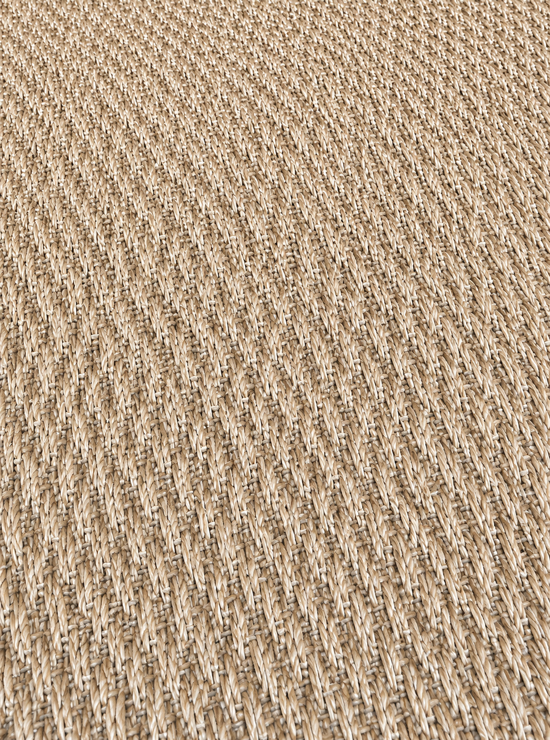 Bolon Champagne