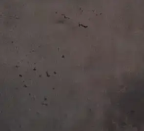 Traprenovatie Extreem Geleefd Decor Uitgelichte Afbeelding 300X300.Jpg