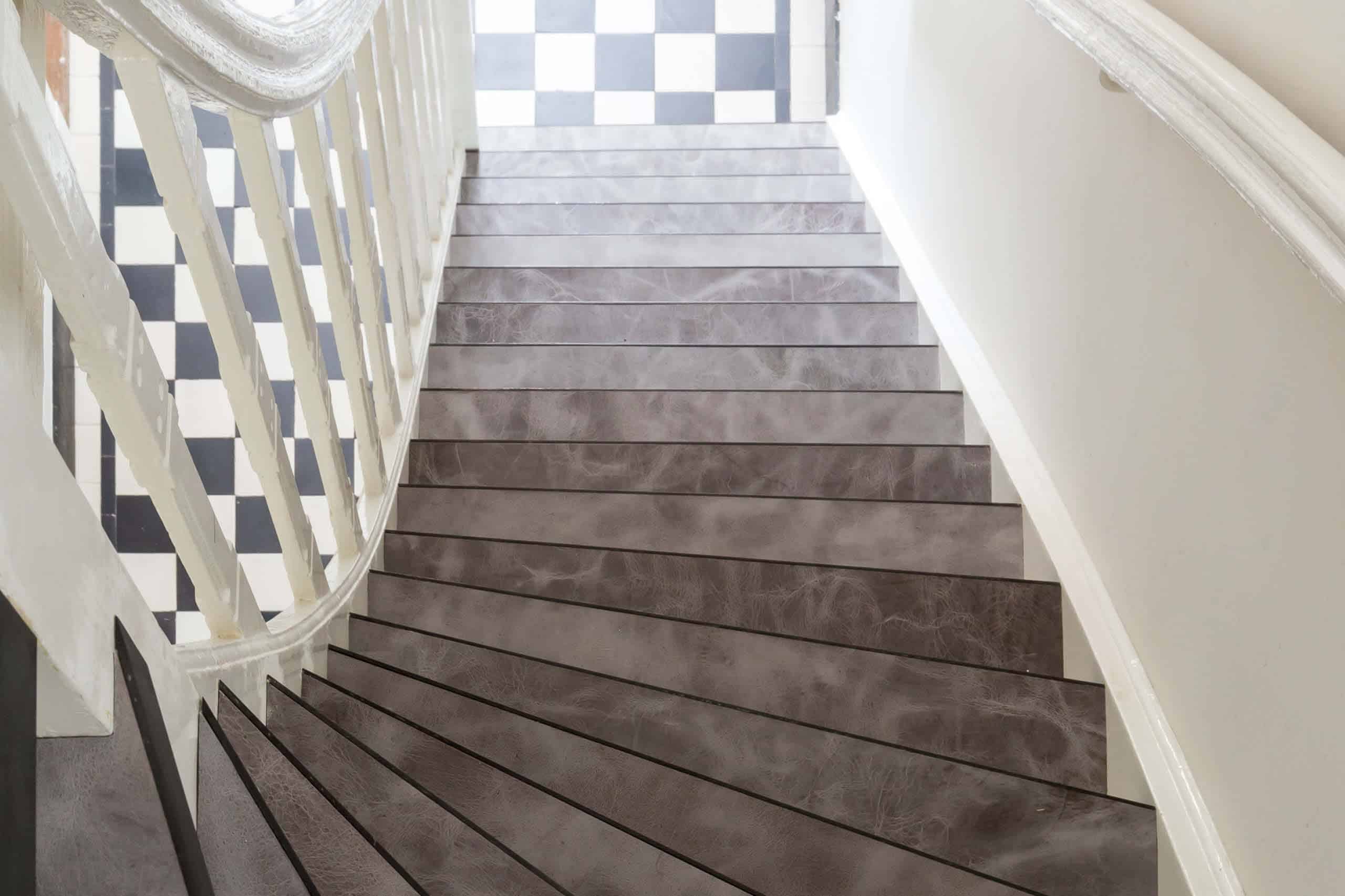 Traprenovatie Leer Briljant Dolphin Slider 1