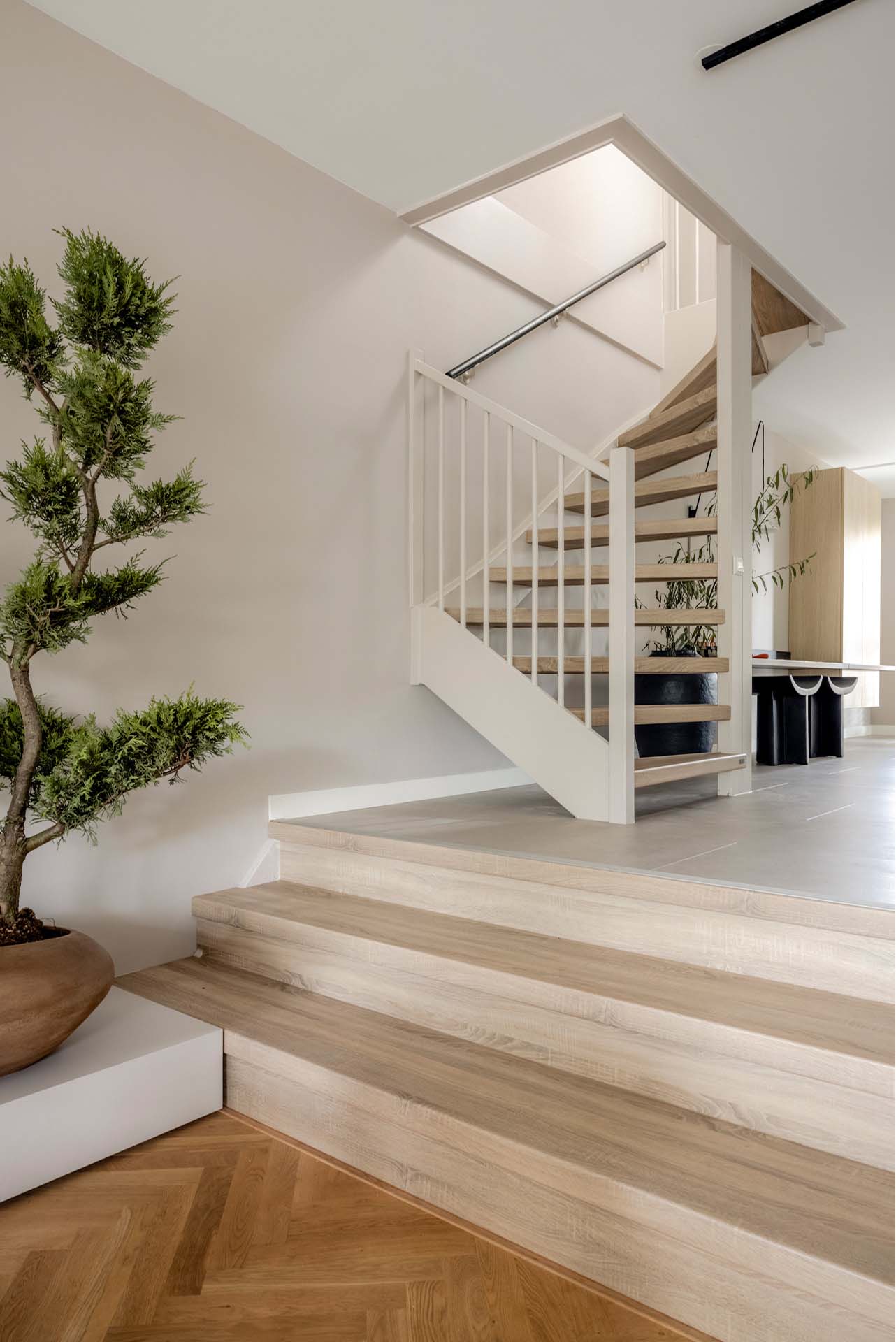 Open Trap San Diego Oak